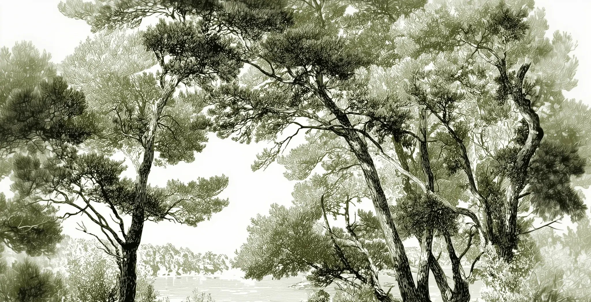 Les pins du lac - Papier peint panoramique forêt en nuances de vert - Illulart: Papier peint panoramique