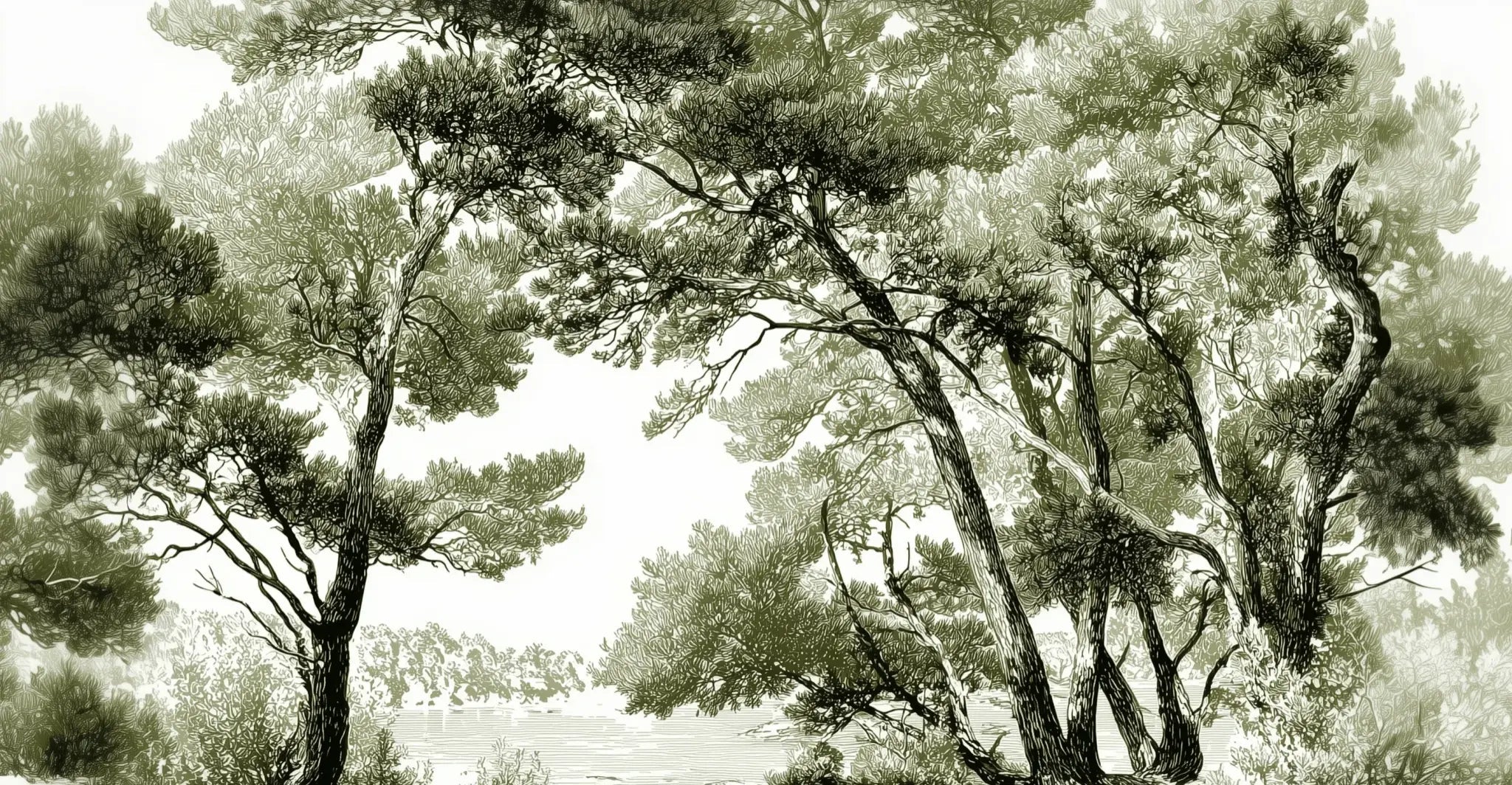 Les pins du lac - Papier peint panoramique forêt en nuances de vert - Illulart: Papier peint panoramique