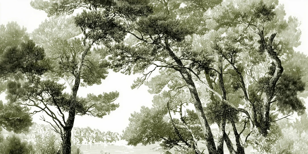 Les pins du lac - Papier peint panoramique forêt en nuances de vert - Illulart: Papier peint panoramique