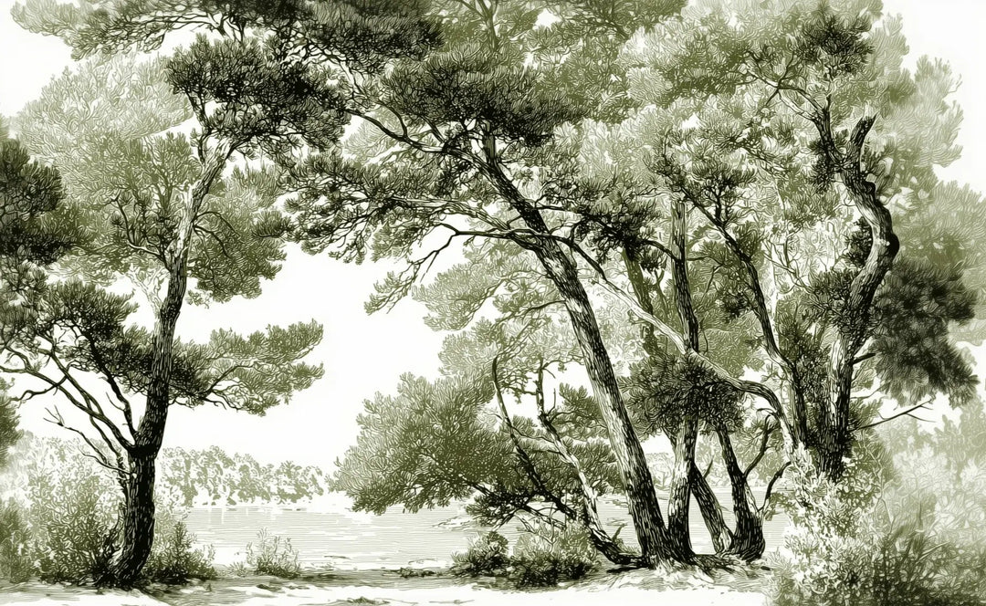 Les pins du lac - Papier peint panoramique forêt en nuances de vert - Illulart: Papier peint panoramique