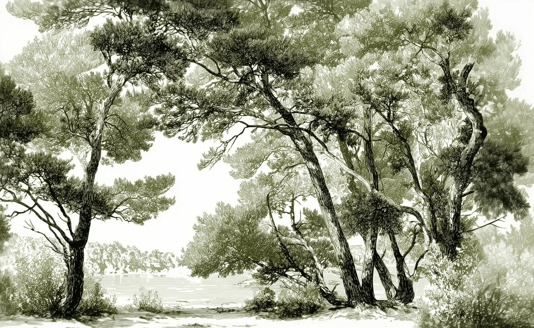 Les pins du lac - Papier peint panoramique forêt en nuances de vert - Illulart: Papier peint panoramique