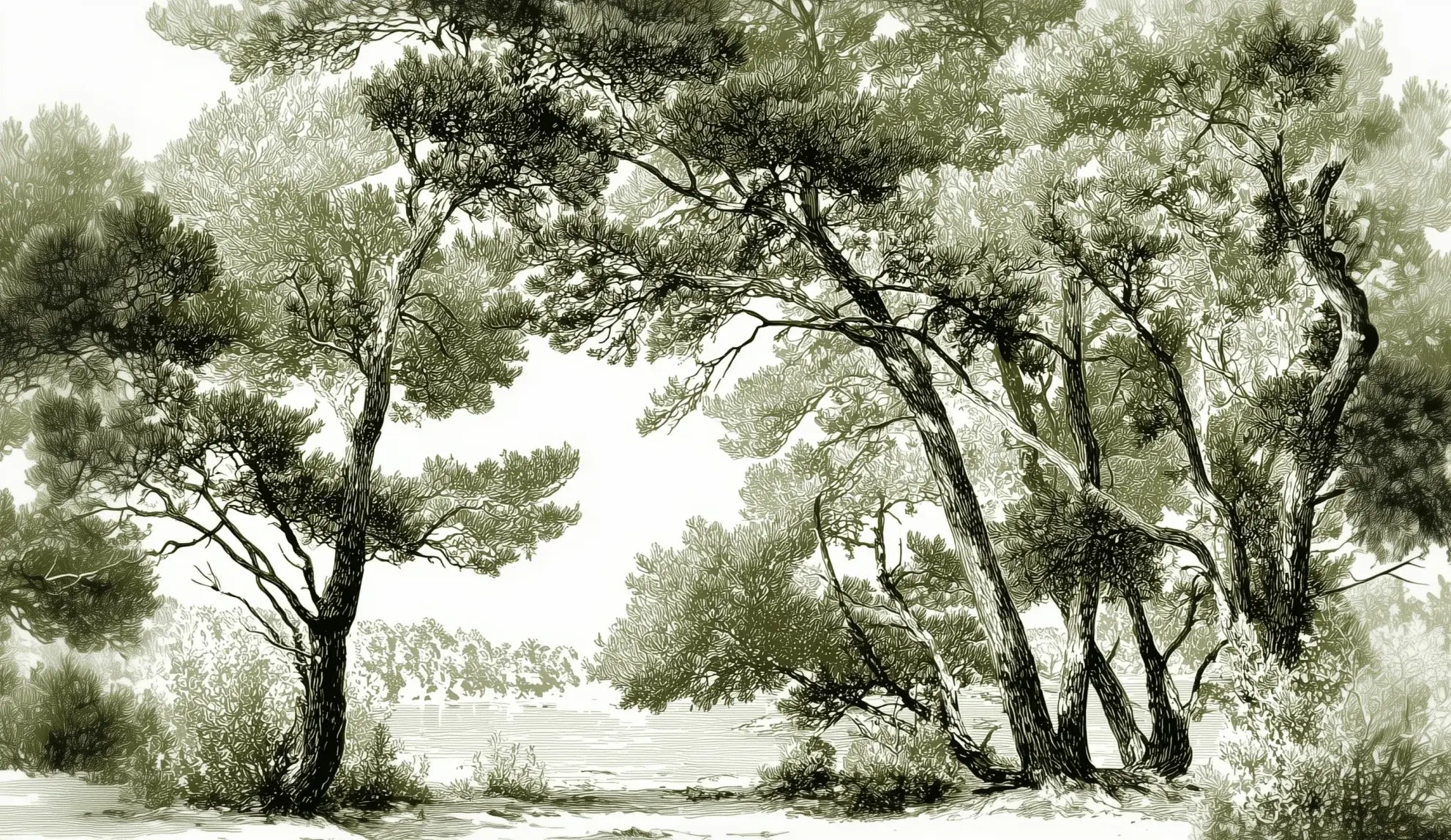 Les pins du lac - Papier peint panoramique forêt en nuances de vert - Illulart: Papier peint panoramique