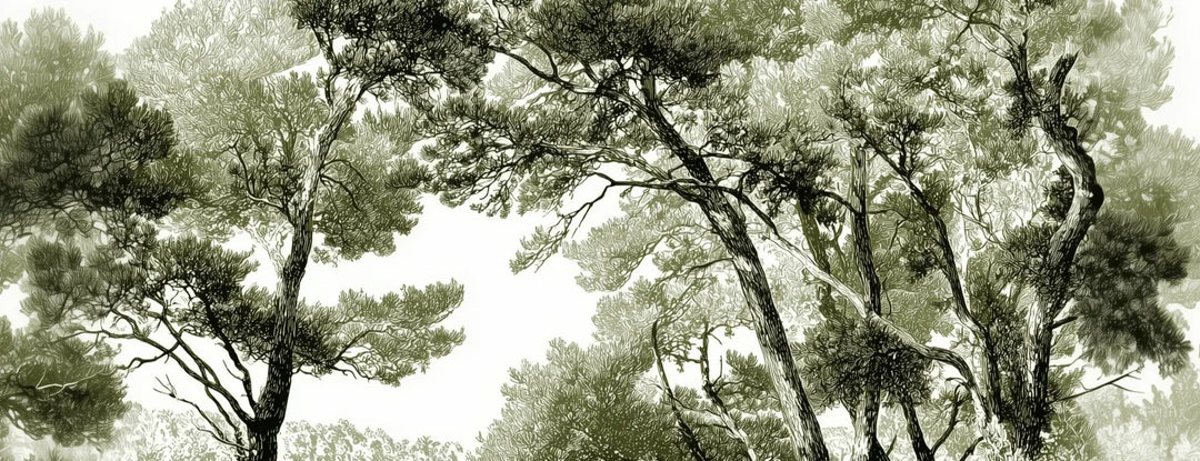 Les pins du lac - Papier peint panoramique forêt en nuances de vert - Illulart: Papier peint panoramique