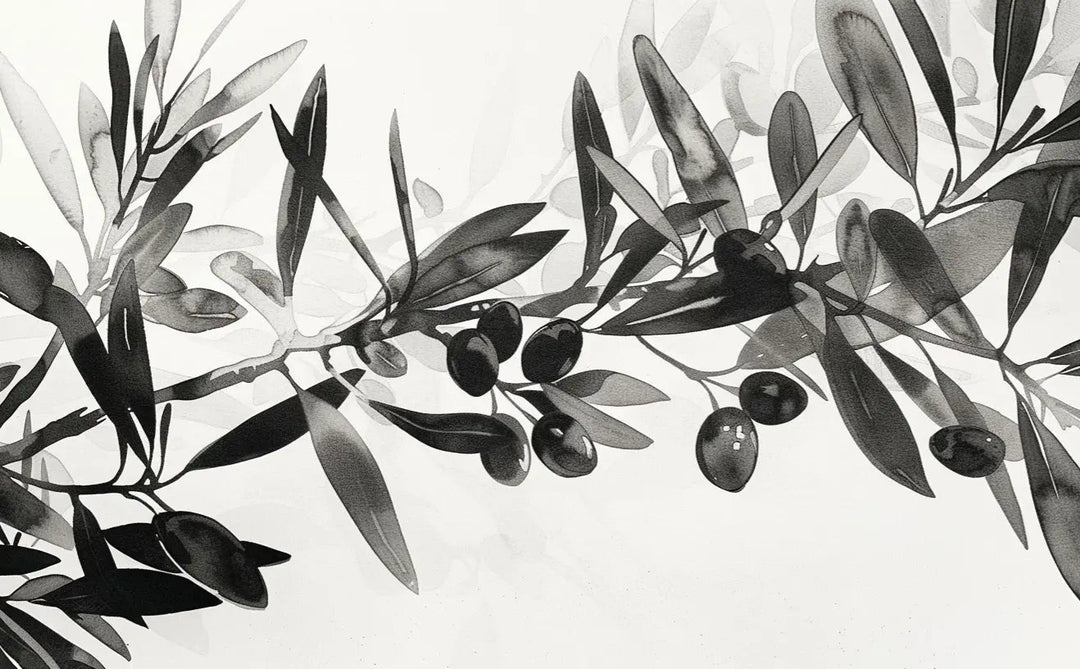 L’Olivier en Aquarelle - Élégance Subtile en Noir et Blanc - Illulart: Papier peint panoramique