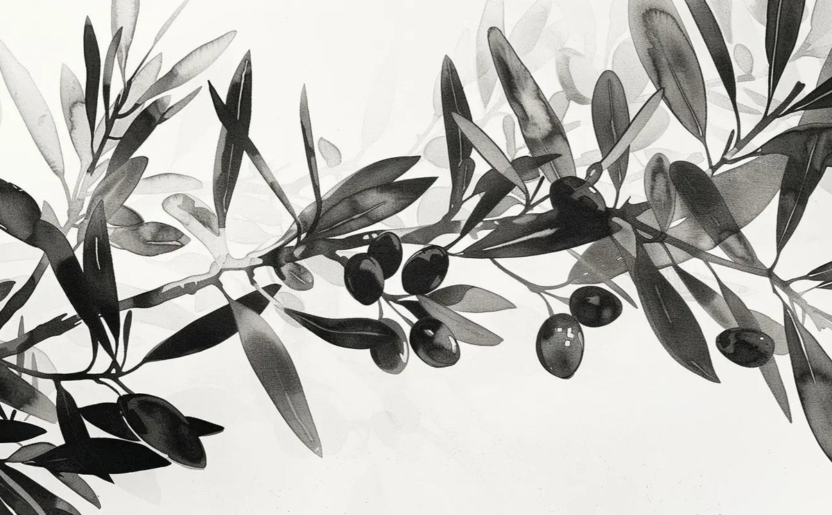 L’Olivier en Aquarelle - Élégance Subtile en Noir et Blanc - Illulart: Papier peint panoramique