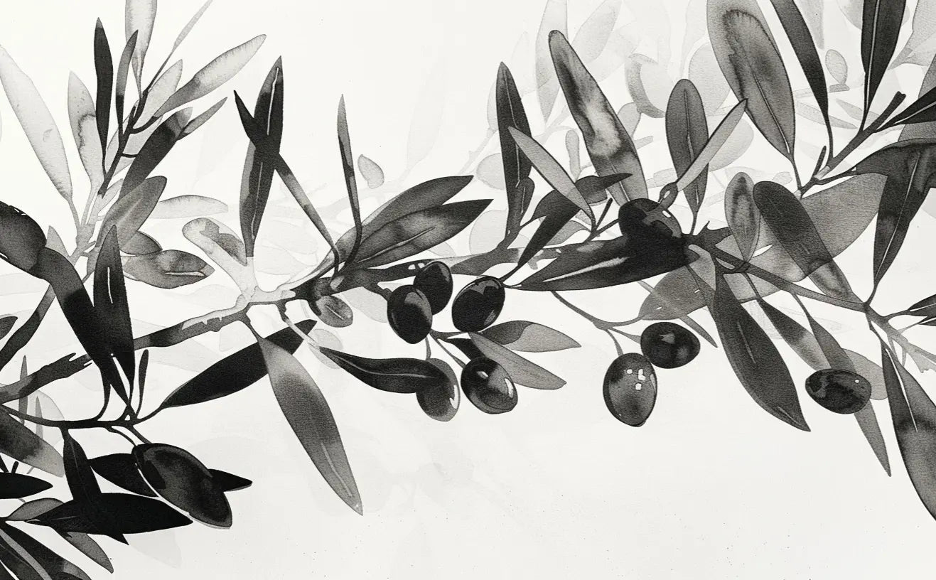 L’Olivier en Aquarelle - Élégance Subtile en Noir et Blanc