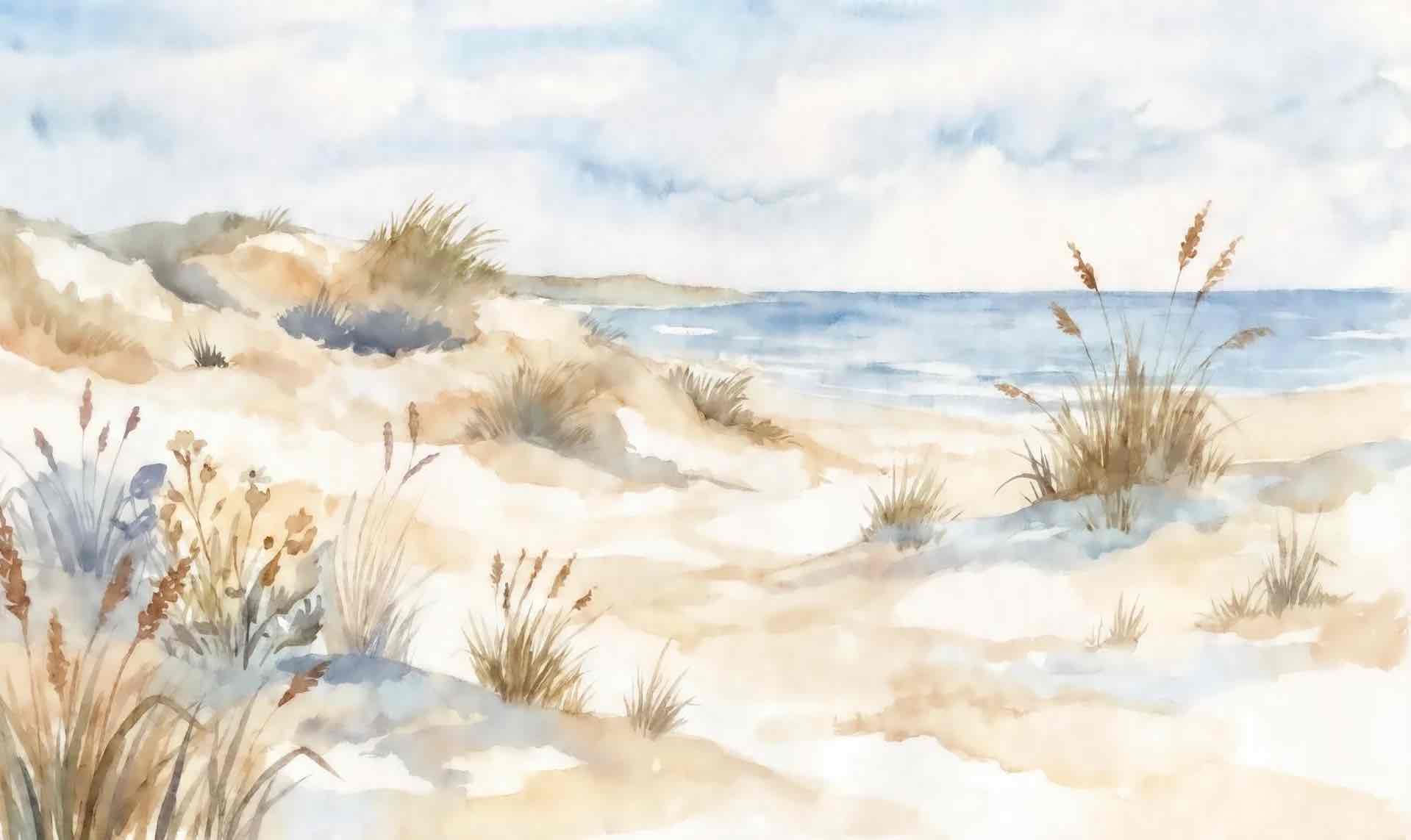 Lumière des Dunes – Papier peint panoramique bord de mer
