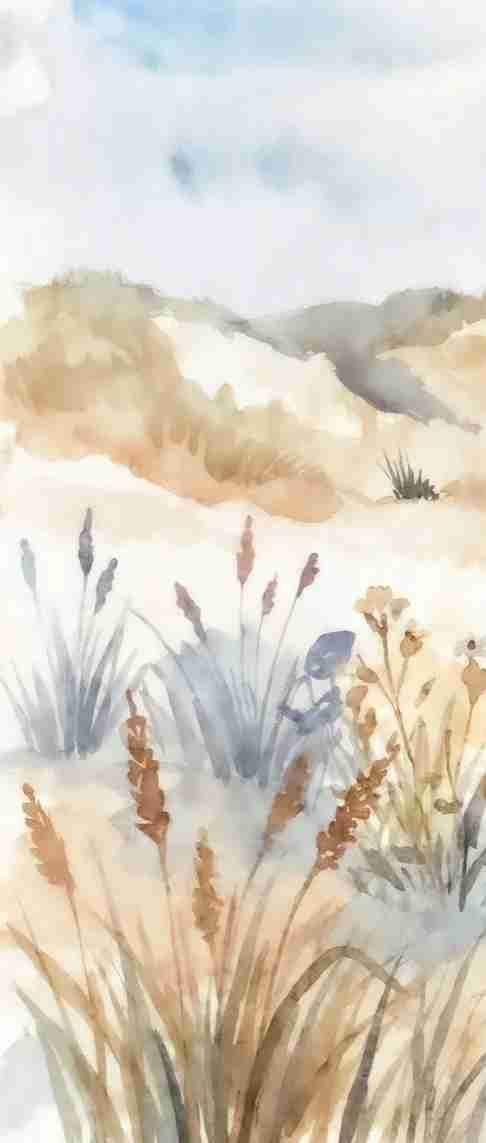 Lumière des Dunes – Papier peint panoramique bord de mer - Illulart: Papier peint panoramique