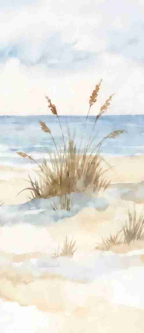 Lumière des Dunes – Papier peint panoramique bord de mer - Illulart: Papier peint panoramique
