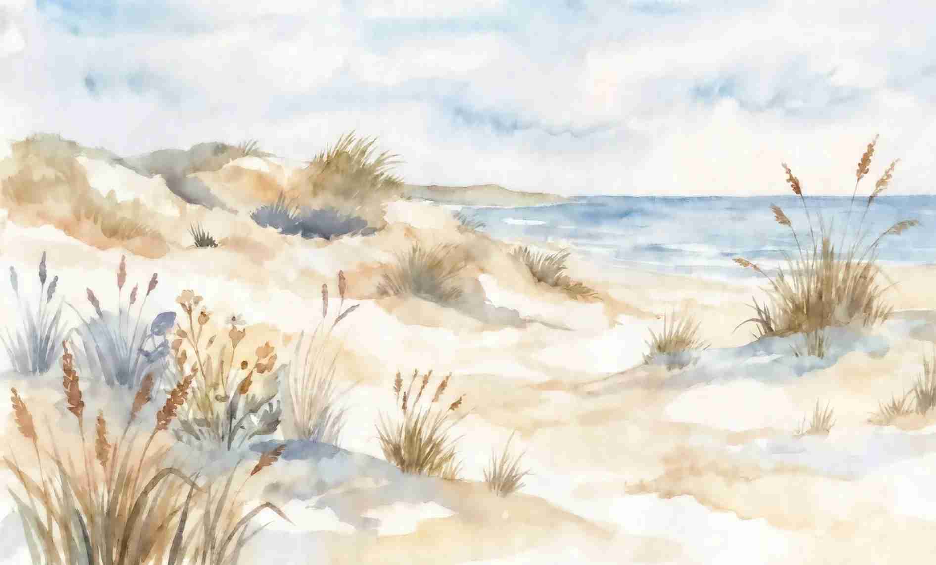 Lumière des Dunes – Papier peint panoramique bord de mer