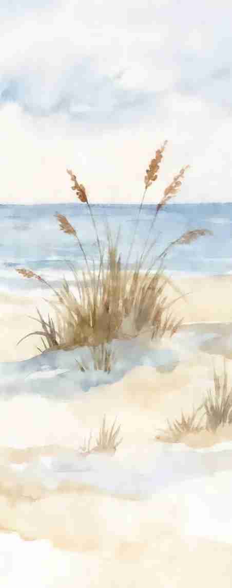 Lumière des Dunes – Papier peint panoramique bord de mer