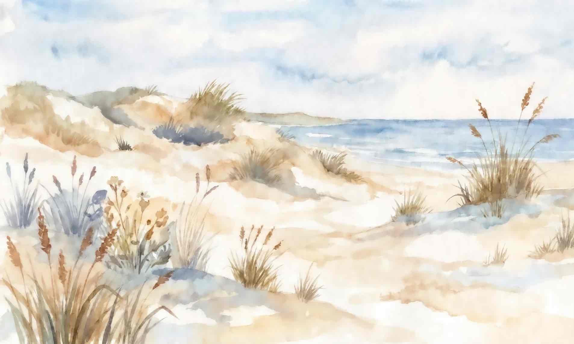 Lumière des Dunes – Papier peint panoramique bord de mer