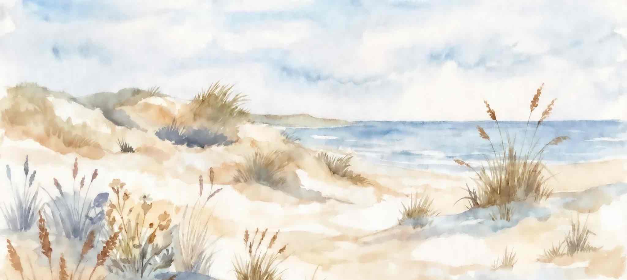 Lumière des Dunes – Papier peint panoramique bord de mer