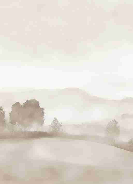 Matin calme – Papier peint paysage brumeux minimaliste et doux en beige - Illulart: Papier peint panoramique