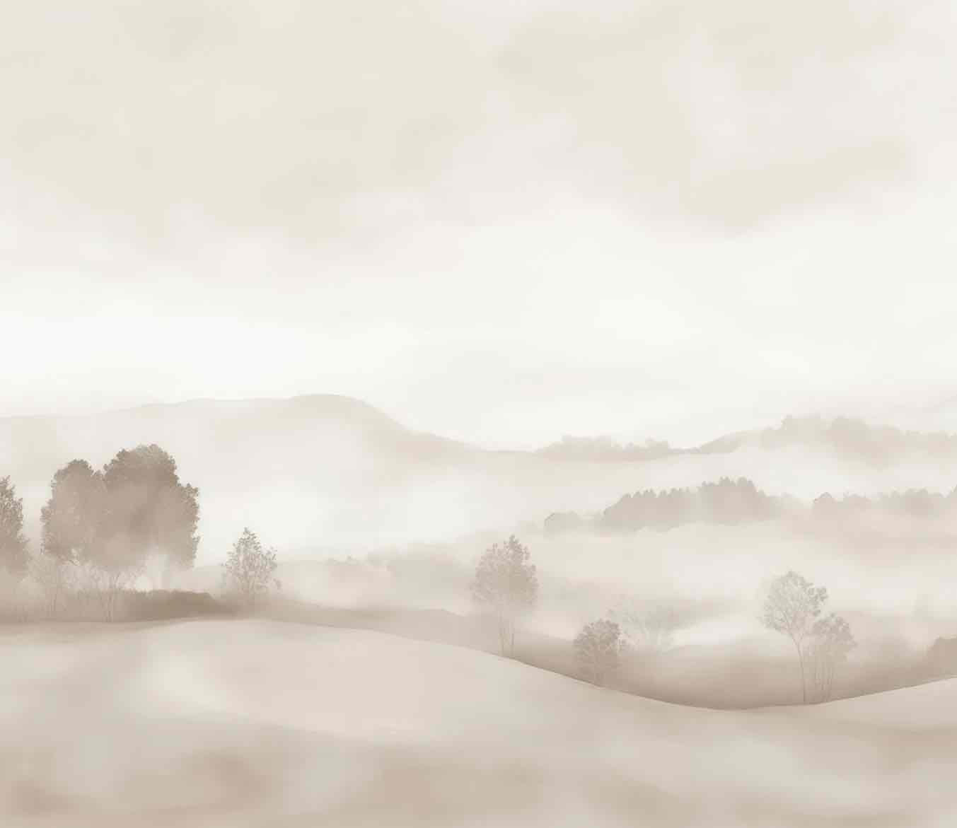 Matin calme – Papier peint paysage brumeux minimaliste et doux en beige - Illulart: Papier peint panoramique