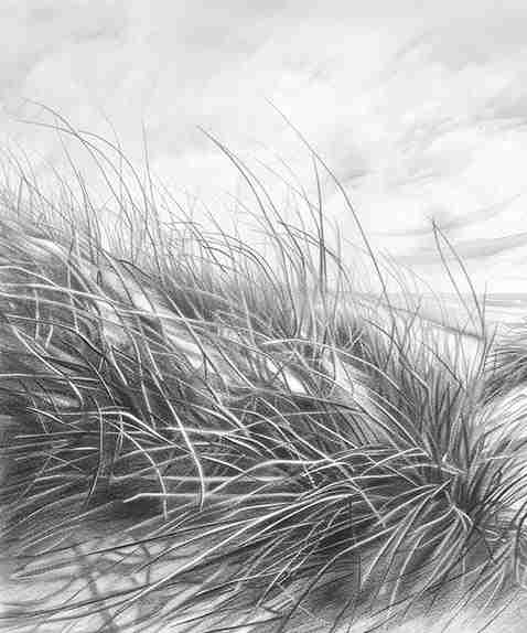 Mélodie des Dunes – Harmonie des Grains de Sable en Noir et Blanc - Illulart: Papier peint panoramique