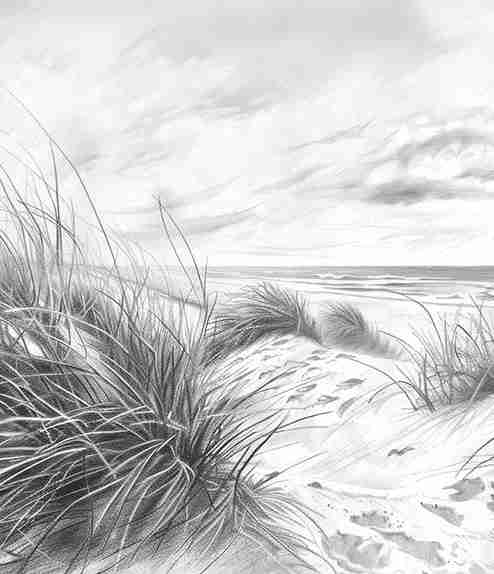 Mélodie des Dunes – Harmonie des Grains de Sable en Noir et Blanc - Illulart: Papier peint panoramique
