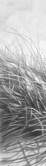 Mélodie des Dunes – Harmonie des Grains de Sable en Noir et Blanc - Illulart: Papier peint panoramique
