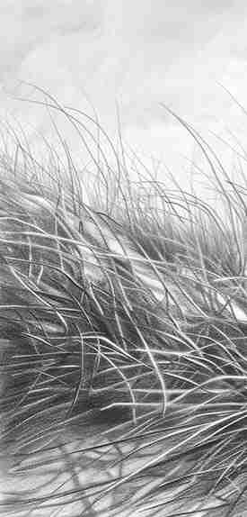 Mélodie des Dunes – Harmonie des Grains de Sable en Noir et Blanc - Illulart: Papier peint panoramique