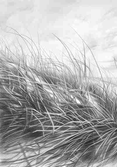 Mélodie des Dunes – Harmonie des Grains de Sable en Noir et Blanc - Illulart: Papier peint panoramique