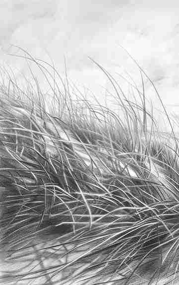 Mélodie des Dunes – Harmonie des Grains de Sable en Noir et Blanc - Illulart: Papier peint panoramique