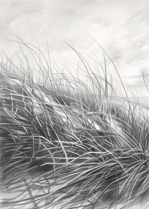 Mélodie des Dunes – Harmonie des Grains de Sable en Noir et Blanc - Illulart: Papier peint panoramique