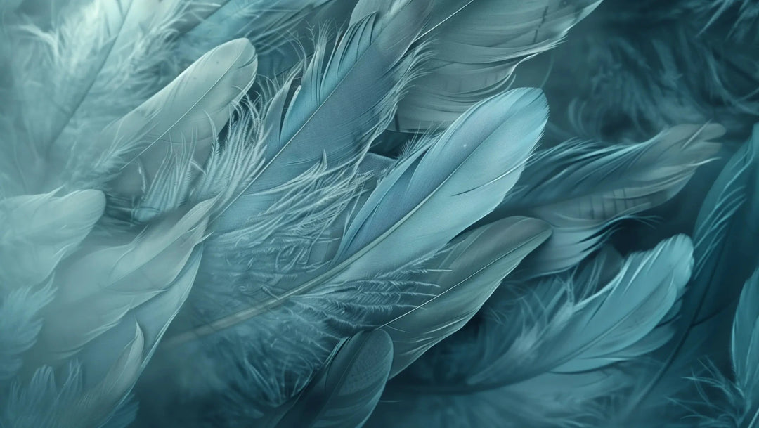 Mur de Plumes - Papier Peint Panoramique Élégant en Bleu Cendré - Illulart: Papier peint panoramique