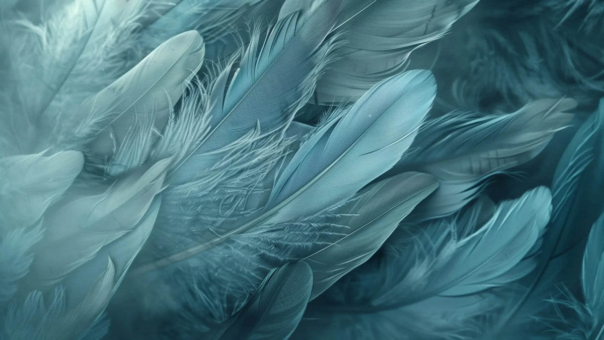Mur de Plumes - Papier Peint Panoramique Élégant en Bleu Cendré - Illulart: Papier peint panoramique