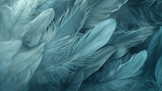 Mur de Plumes - Papier Peint Panoramique Élégant en Bleu Cendré - Illulart: Papier peint panoramique