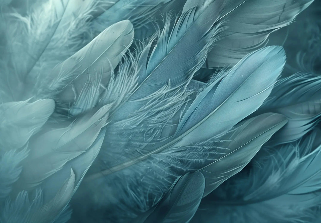 Mur de Plumes - Papier Peint Panoramique Élégant en Bleu Cendré - Illulart: Papier peint panoramique