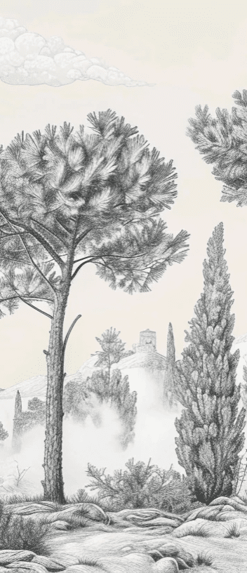 Murmure des Pins sous Brume Matinale - Illulart: Papier peint panoramique