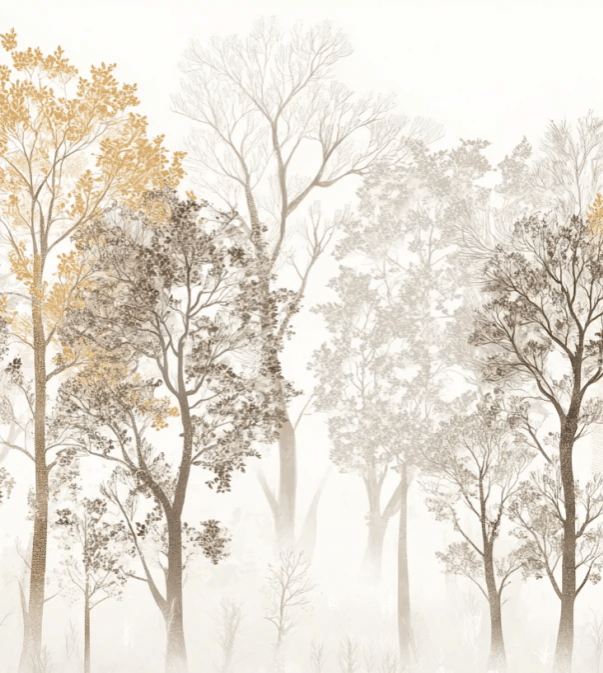 Mystère des Arbres : Papier Peint Panoramique aux Finitions Élégantes - Illulart: Papier peint panoramique