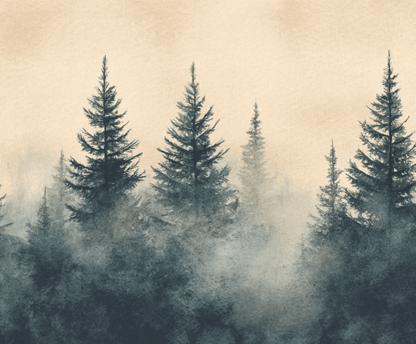 Mystères des Sapins - Papier Peint Panoramique Forêt Brumeuse - Illulart: Papier peint panoramique