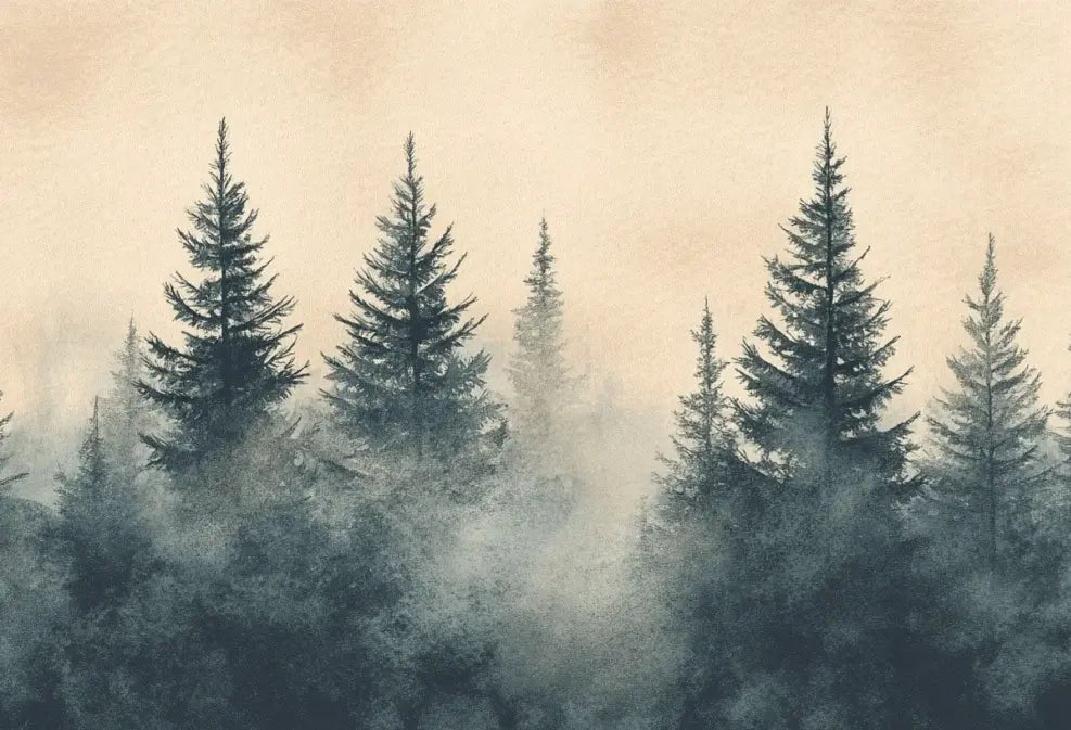 Mystères des Sapins - Papier Peint Panoramique Forêt Brumeuse - Illulart: Papier peint panoramique