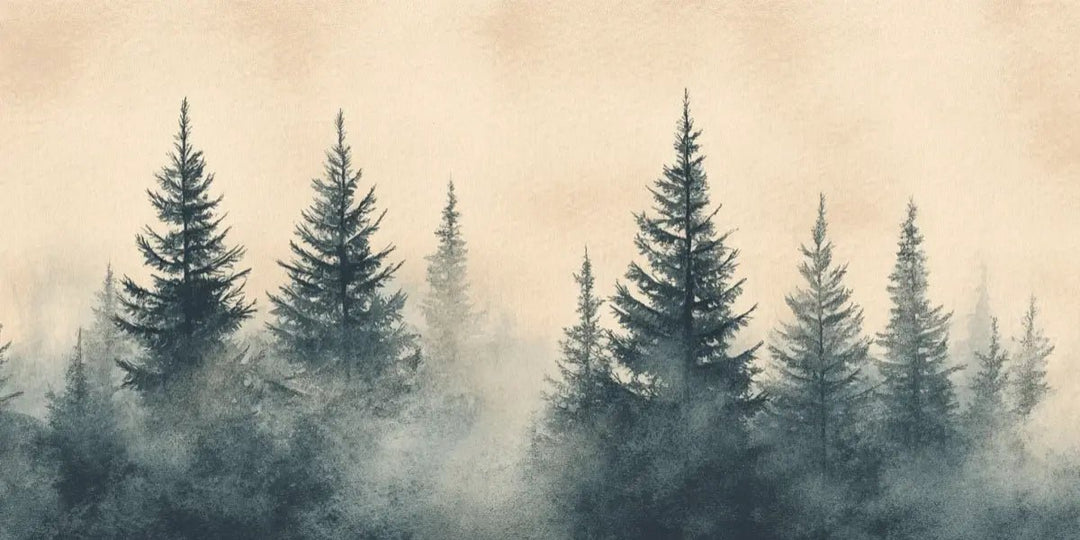 Mystères des Sapins - Papier Peint Panoramique Forêt Brumeuse - Illulart: Papier peint panoramique