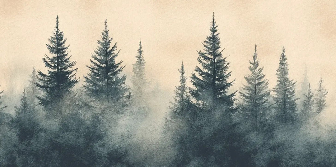 Mystères des Sapins - Papier Peint Panoramique Forêt Brumeuse - Illulart: Papier peint panoramique