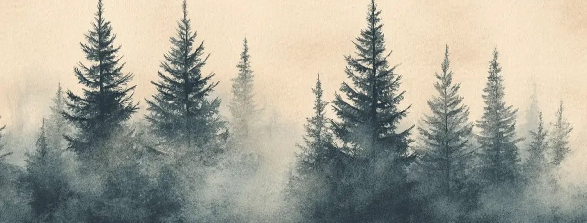 Mystères des Sapins - Papier Peint Panoramique Forêt Brumeuse - Illulart: Papier peint panoramique