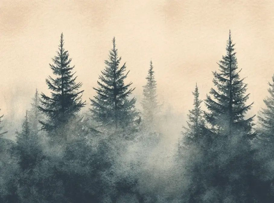 Mystères des Sapins - Papier Peint Panoramique Forêt Brumeuse - Illulart: Papier peint panoramique