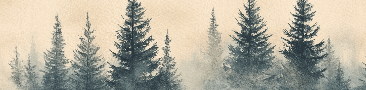 Mystères des Sapins - Papier Peint Panoramique Forêt Brumeuse - Illulart: Papier peint panoramique