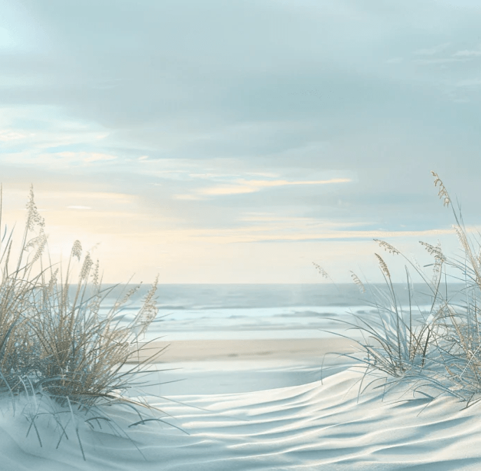 Nature cotière - Dunes en bord de mer - Illulart: Papier peint panoramique