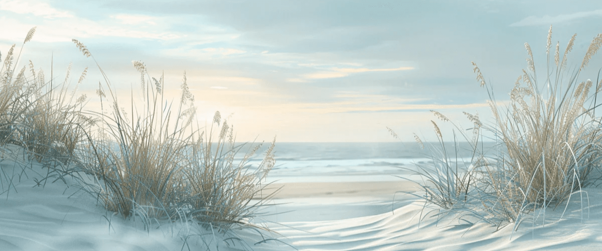 Nature cotière - Dunes en bord de mer - Illulart: Papier peint panoramique