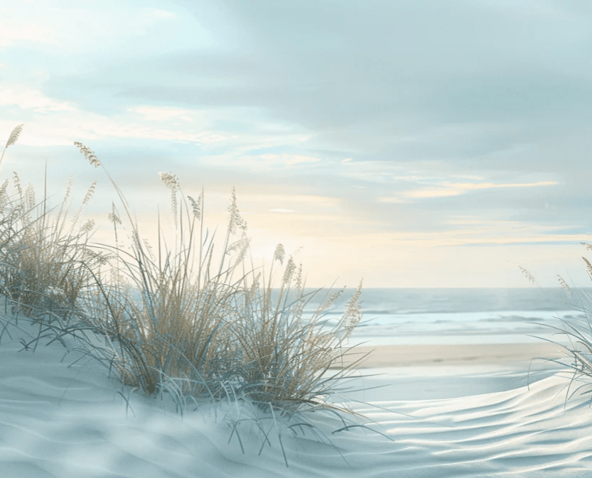 Nature cotière - Dunes en bord de mer - Illulart: Papier peint panoramique