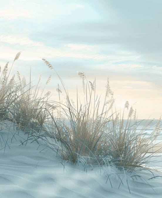 Nature cotière - Dunes en bord de mer - Illulart: Papier peint panoramique