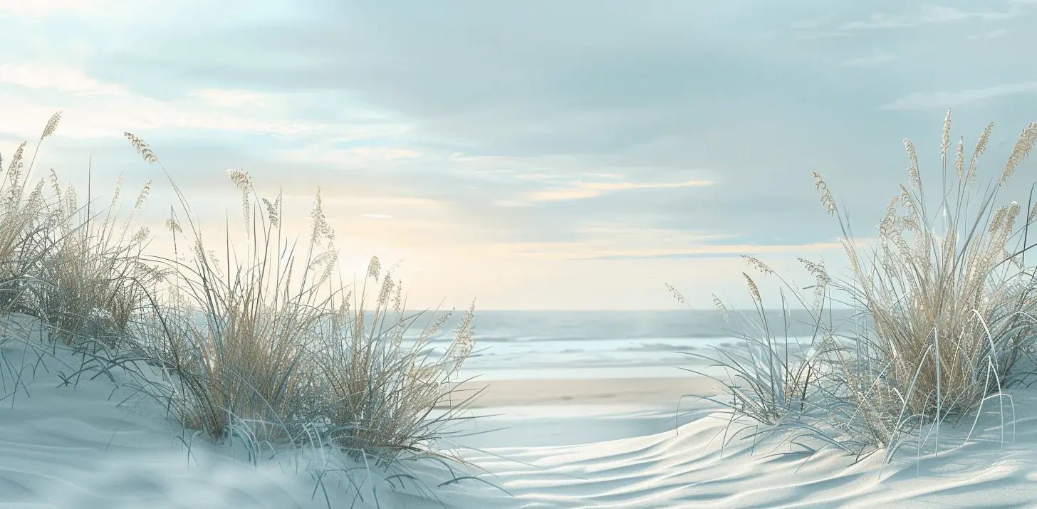 Nature cotière - Dunes en bord de mer - Illulart: Papier peint panoramique