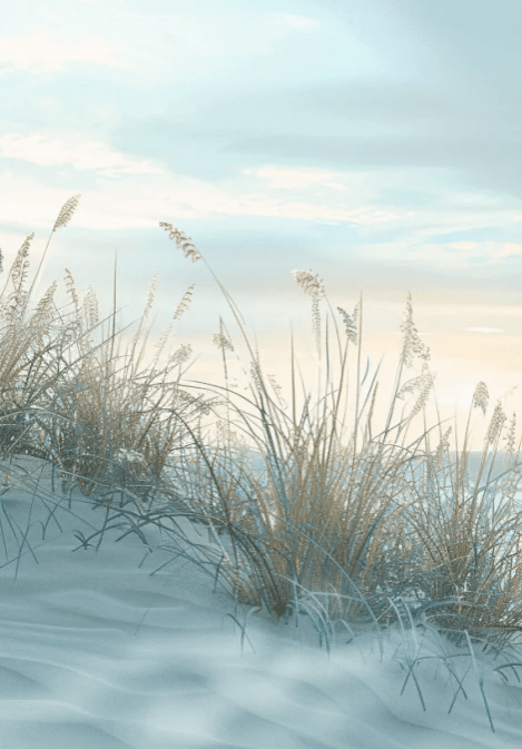 Nature cotière - Dunes en bord de mer - Illulart: Papier peint panoramique