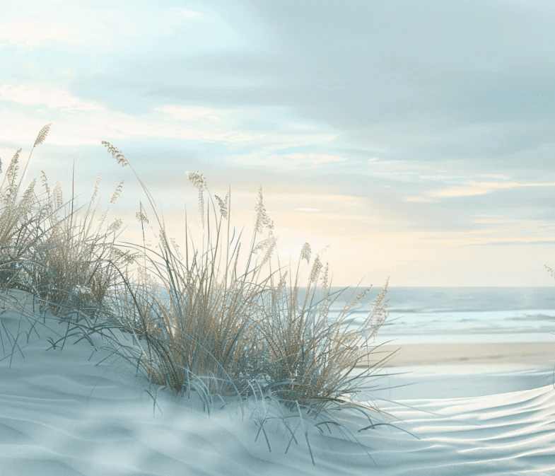 Nature cotière - Dunes en bord de mer - Illulart: Papier peint panoramique