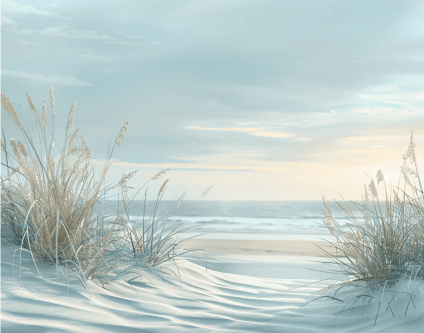 Nature cotière - Dunes en bord de mer - Illulart: Papier peint panoramique