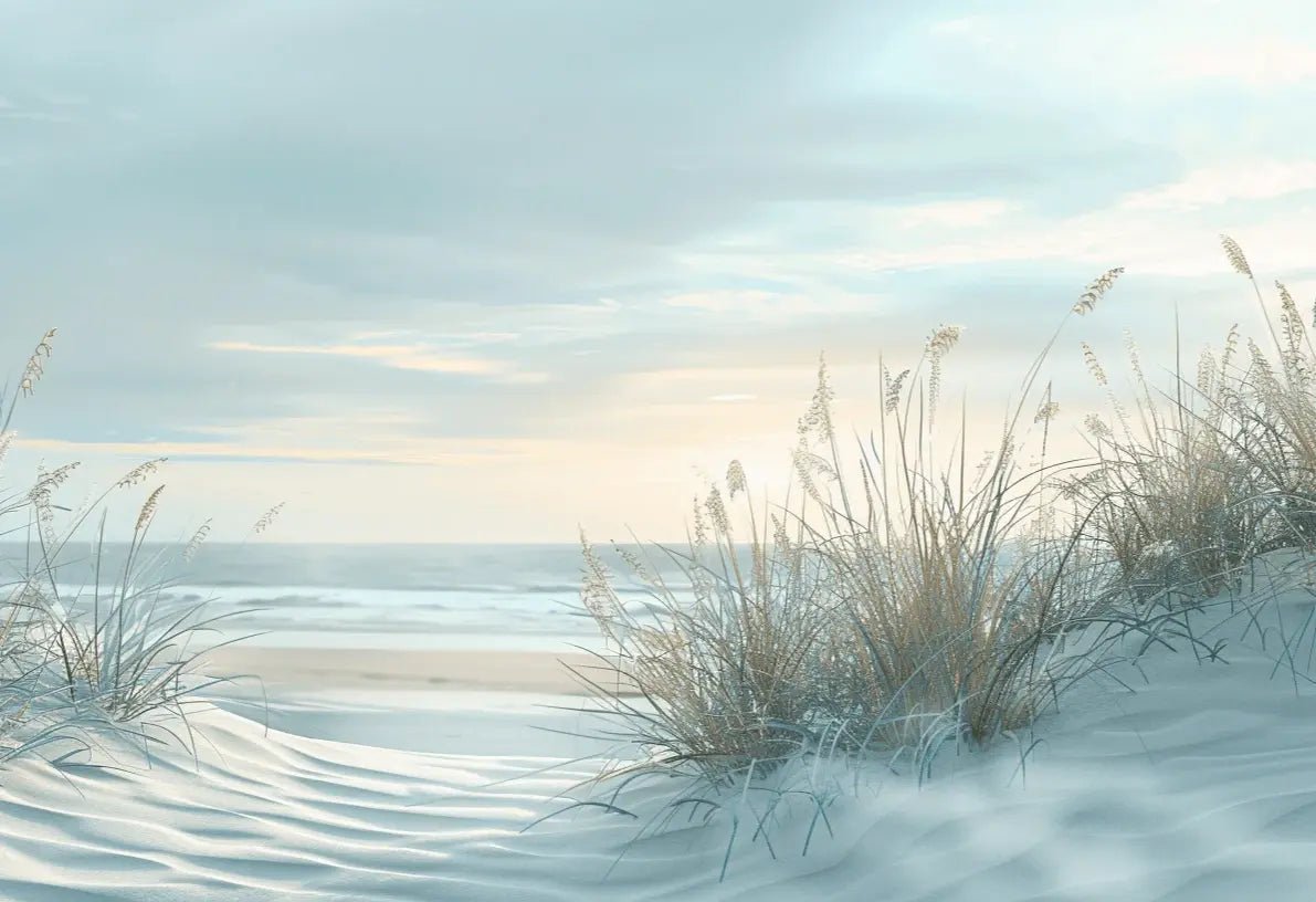 Nature cotière - Dunes en bord de mer