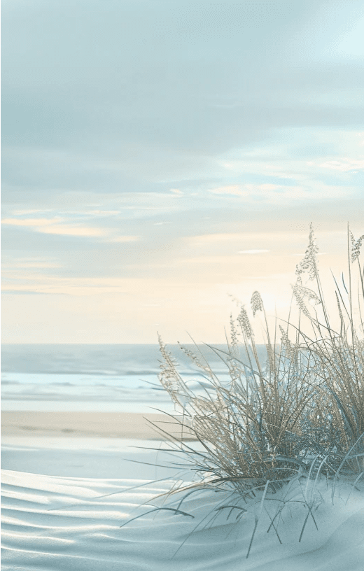 Nature cotière - Dunes en bord de mer - Illulart: Papier peint panoramique