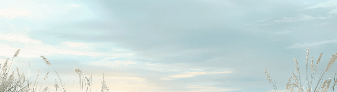 Nature cotière - Dunes en bord de mer - Illulart: Papier peint panoramique